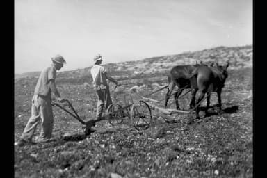 The End of the New Jew and the Rebirth of the Old