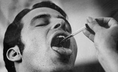 “Brandy” Comes from “Burned Wine,” and Other (Judeo-)Linguistic Notes about Liquor