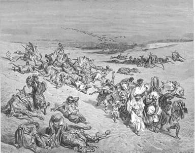 The Plague-Words of the Bible