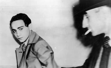 One Who Fought Back: Herschel Grynszpan and the Holocaust