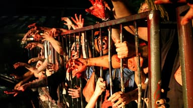 The Zombie Doctrine