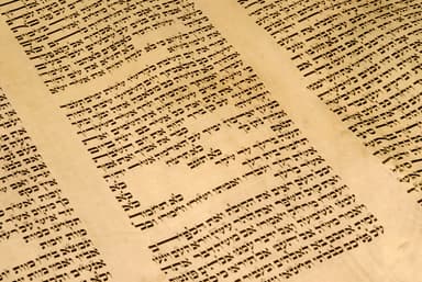 Biblical Scholars Are Open to Self-Correction, and They Listen to Conservatives, Too