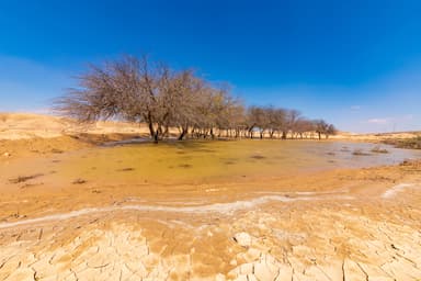 Why Judaism Takes Rain Very Seriously