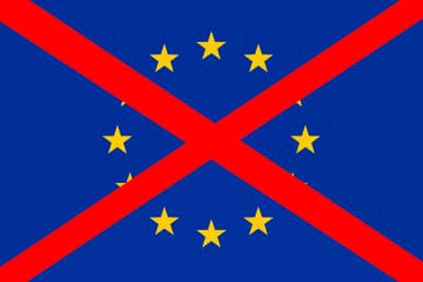 Why Were Euroskeptics Ignored?